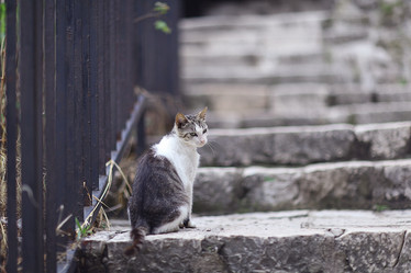 Similar image 10503234