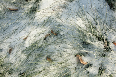 Similar image 10503235