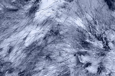 Similar image 10503236