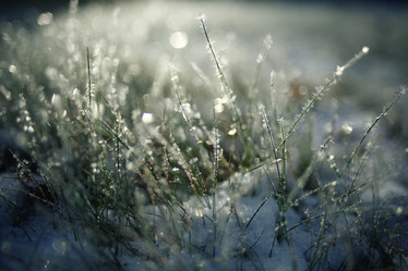 Similar image 10503240