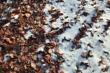 Similar image 10503242