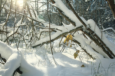 Similar image 10503243