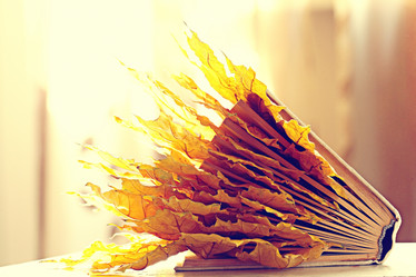 Similar image 10503247