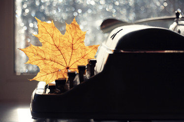 Similar image 10503249