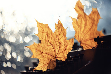 Similar image 10503250