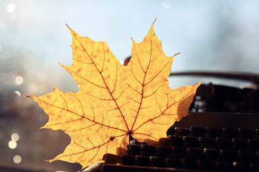 Similar image 10503251