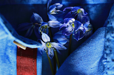 Similar image 10503280