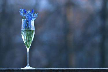 Similar image 10503283