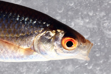 Similar image 10503284