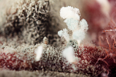 Similar image 10503286