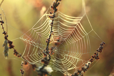 Similar image 10503297