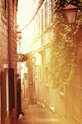 Similar image 10503298