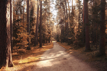 Similar image 10503303