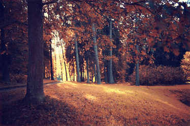 Similar image 10503307