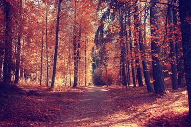 Similar image 10503309