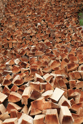 Similar image 10503312