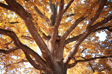 Similar image 10503313