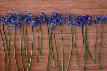 Similar image 10503322