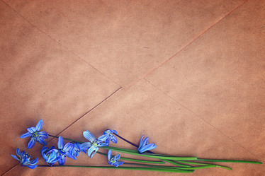 Similar image 10503324