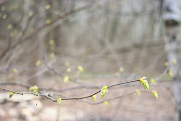 Similar image 10503325