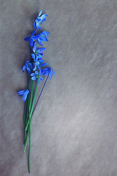 Similar image 10503327