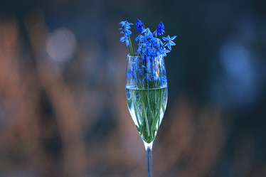 Similar image 10503331