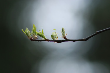 Similar image 10503335