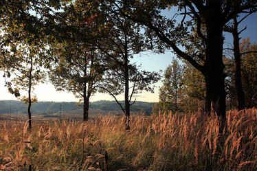 Similar image 10503336