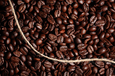 Similar image 10503362