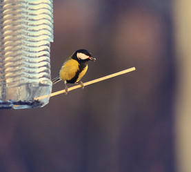 Similar image 10503365