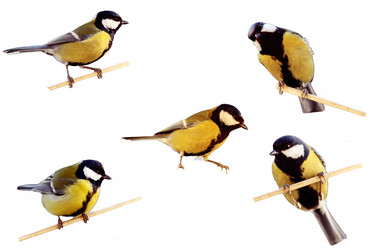 Similar image 10503366