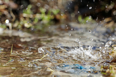 Similar image 10503372