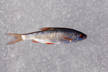 Similar image 10503390