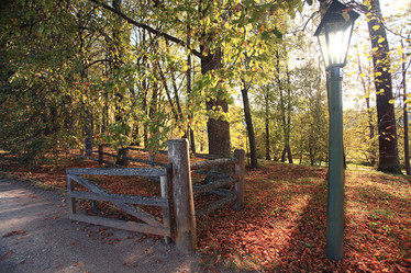 Similar image 10503396