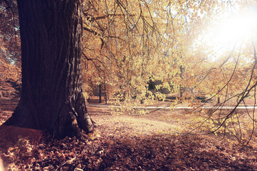 Similar image 10503397