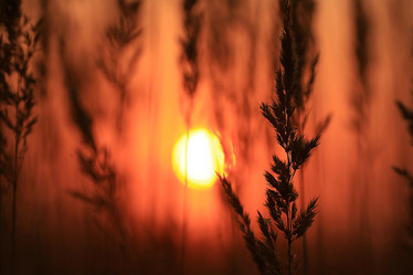 Similar image 10503399