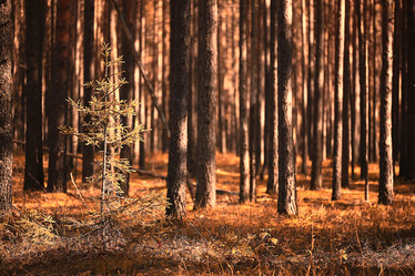 Similar image 10503401