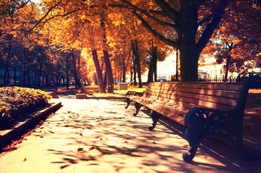 Similar image 10503428