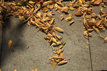 Similar image 10503429