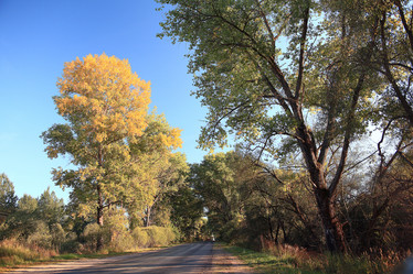 Similar image 10503432