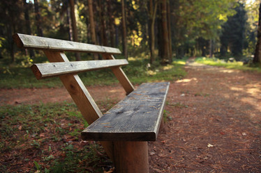 Similar image 10503460