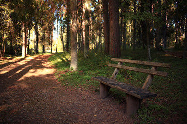 Similar image 10503461