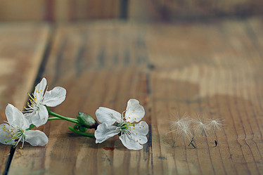 Similar image 10503474