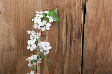 Similar image 10503477