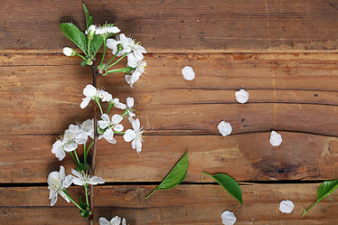 Similar image 10503481