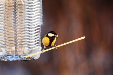 Similar image 10503483