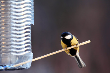 Similar image 10503485