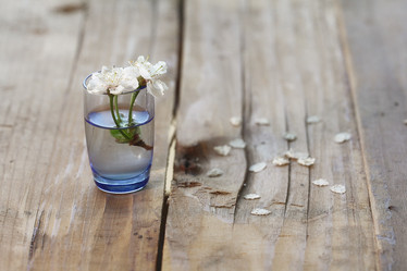 Similar image 10503491