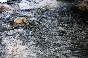 Similar image 10503499