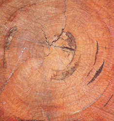 Similar image 10503855